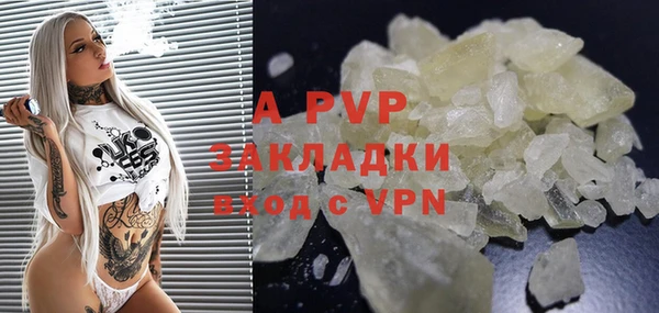 ПСИЛОЦИБИНОВЫЕ ГРИБЫ Порхов