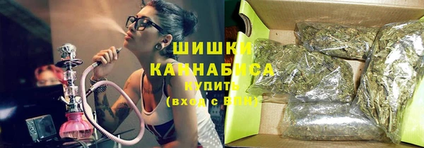ПСИЛОЦИБИНОВЫЕ ГРИБЫ Порхов