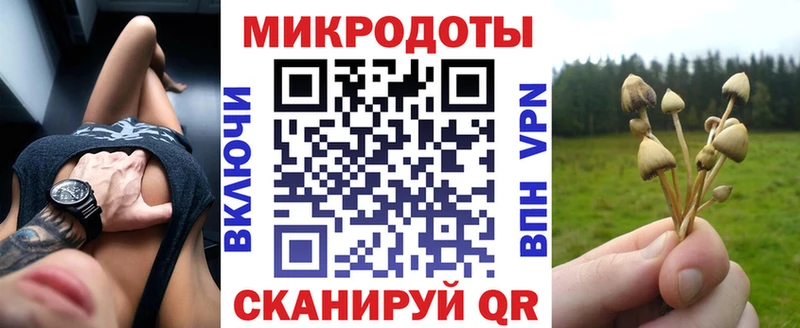 Псилоцибиновые грибы Psilocybine cubensis  Боготол 